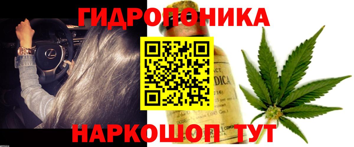 Бошки марихуана конопля  Шишки марихуана OG Kush  Волжск  Марихуана SATIVA & INDICA  Вход с VPN 